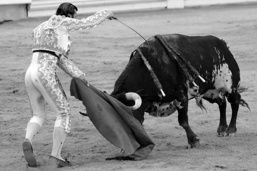 Sword Thrust Bullfight