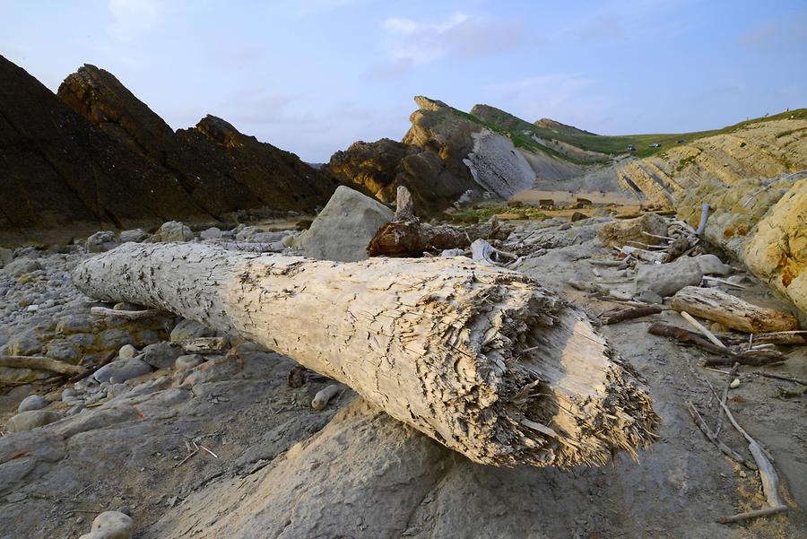 Flysch Coast near Liencres