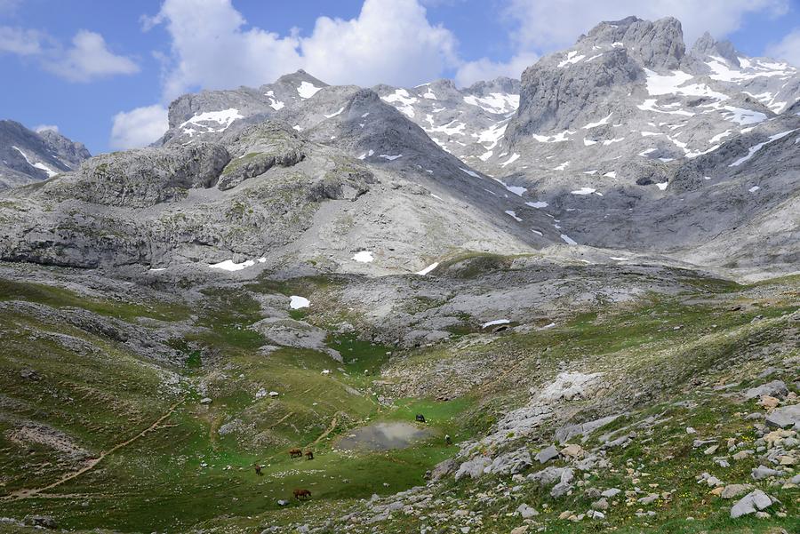 Picos de Europa - Mirador del Cable