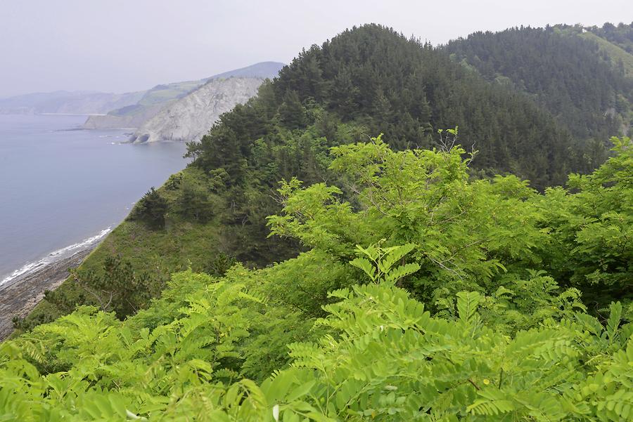 Coast near Zumaia