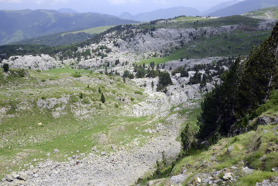 Pyrenees