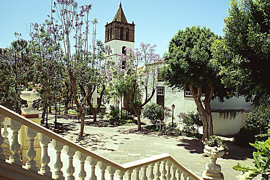Icod de los Vinos