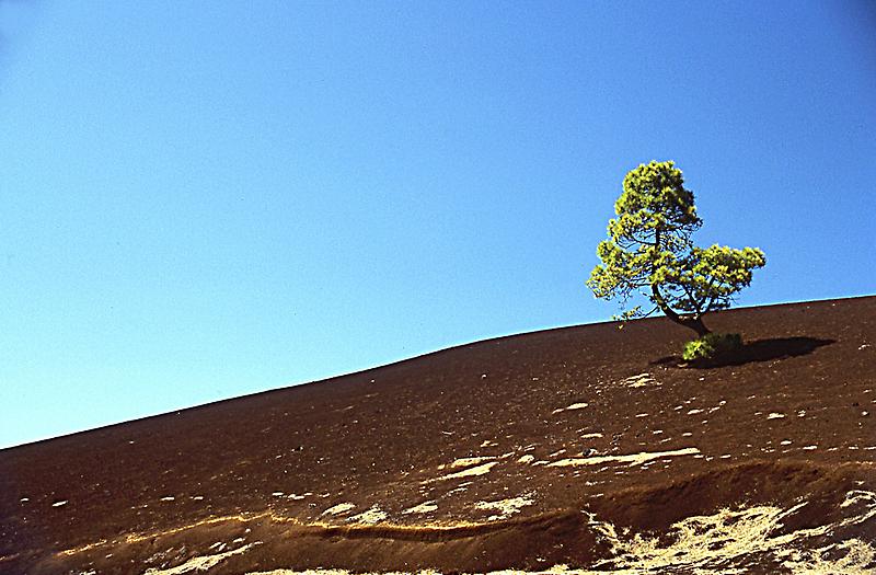 Pico de Teide National Park