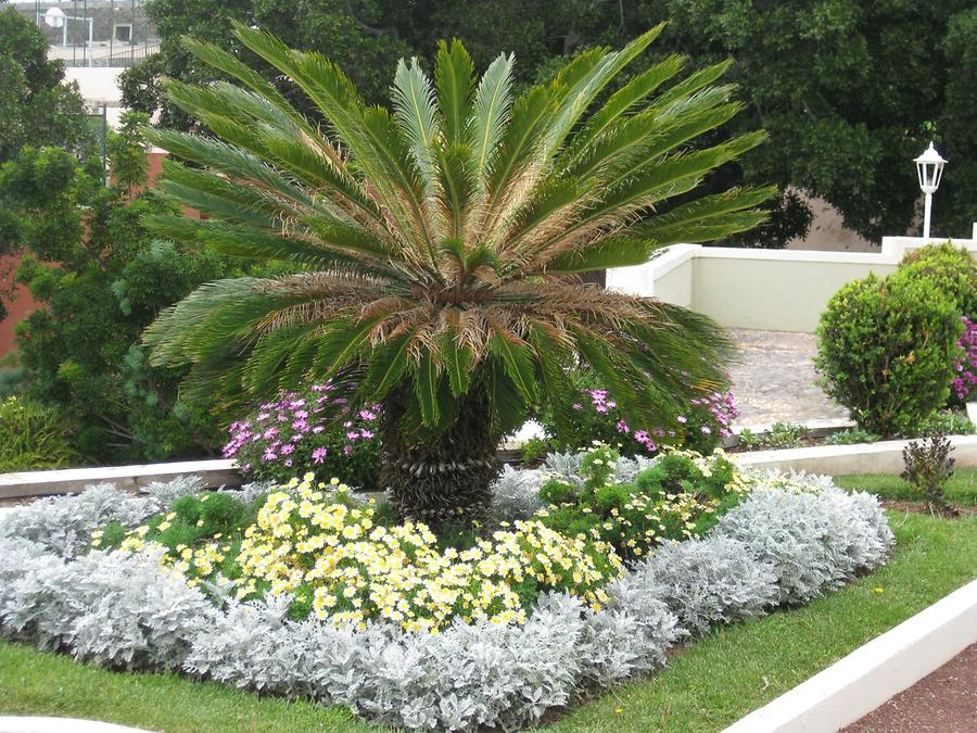 La Orotava - Plaza de la Constitucion - Jardines Marquesado de la Quinta Roja