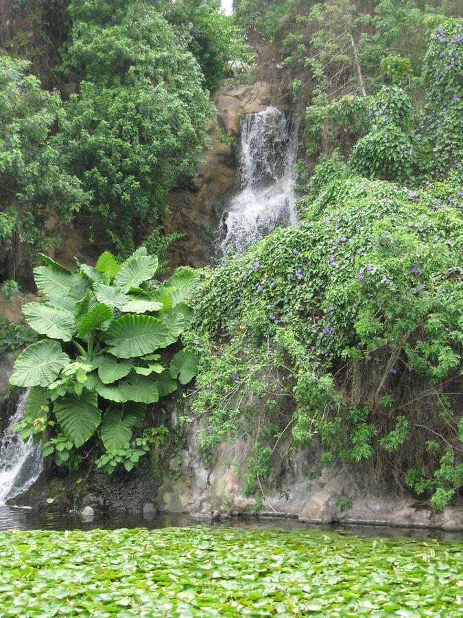 Puerto de la Cruz - Loro Parque