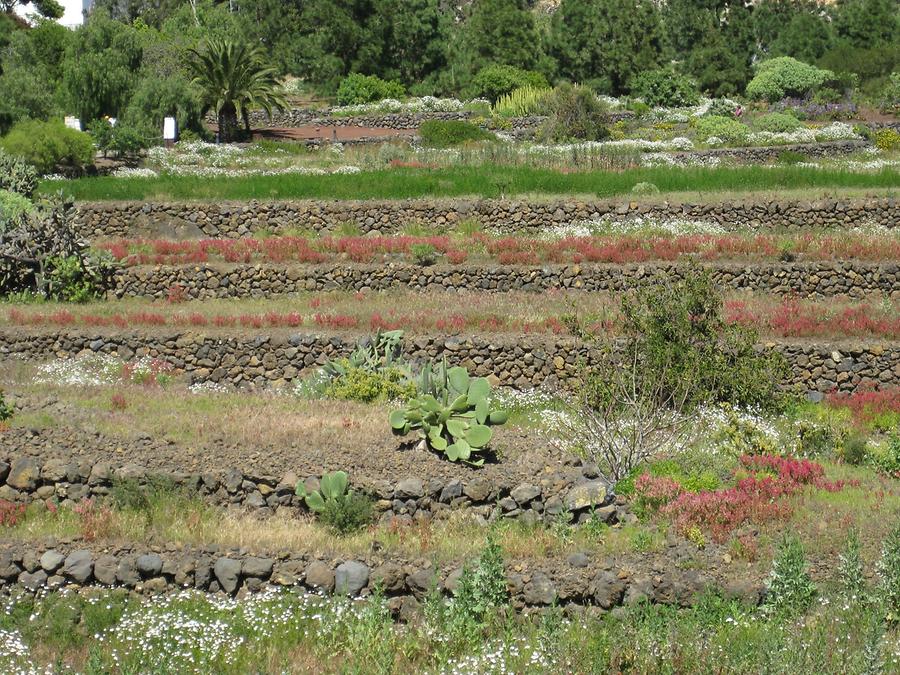 Güimar - Parque Etnografico Piramides de Güimar