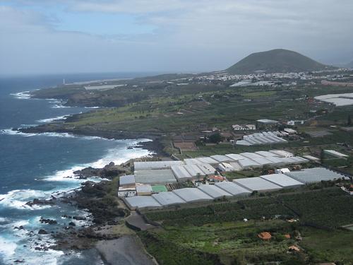 Buenovista Del Norte Gew chsh user 2 Tenerife 2016 Geography buenovista-del-norte-gew-chsh-user-2-tenerife-2016-geography