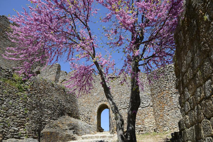 Montánchez - Castle