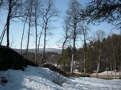 Ammarnäsgarden