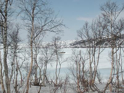 Border Sweden/Norway