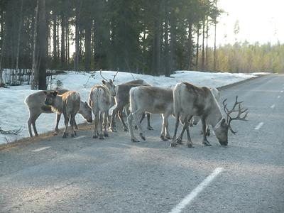 Border Sweden/Norway