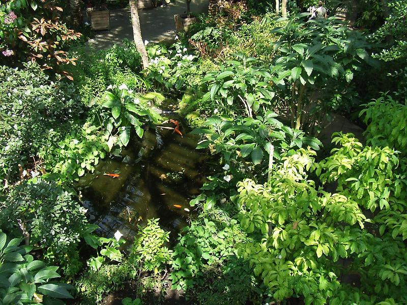 The Palm House, Royal Botanic Gardens (4)