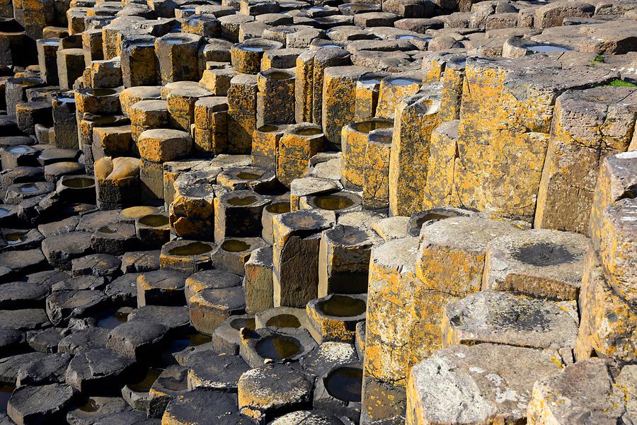 Giant's Causeway