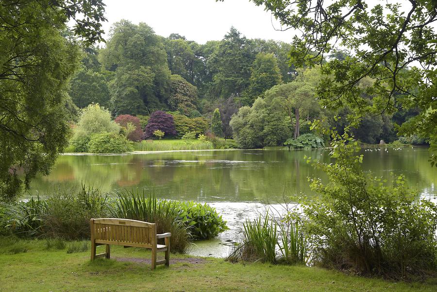 Mount Stewart - Park