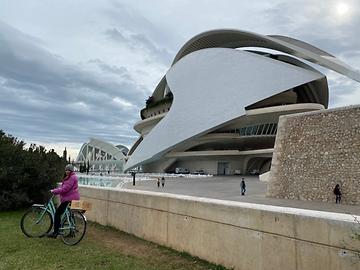 Valencia - Photo: Johanna Hadaya-Diem