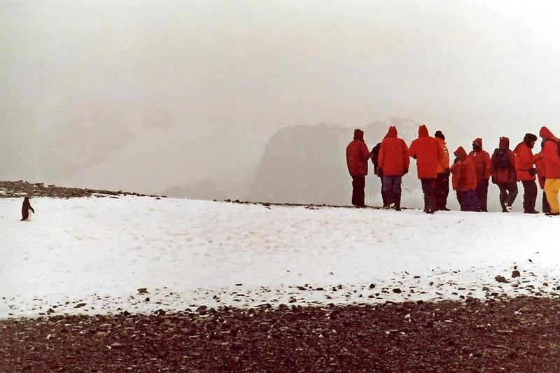 Mid-summer on the Antarctic shore