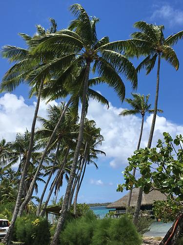 raiatea-french-polynesia-overview-special-information-geography