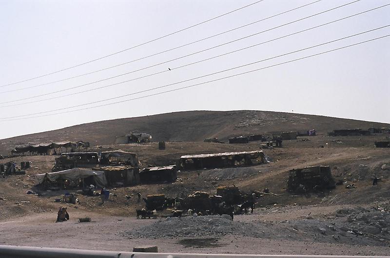 A Bedouin encampment