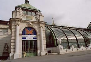 Palmenhaus im Burggarten