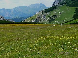 Reichenstein vom Edelweißboden