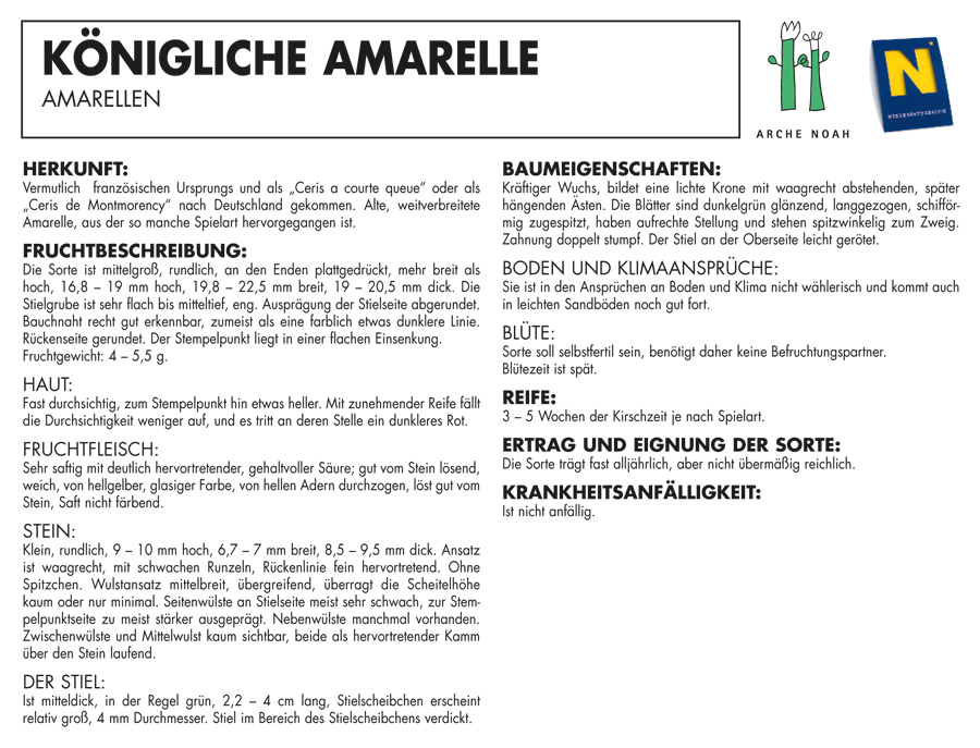 Bild 'Koenigliche_Amarelle'