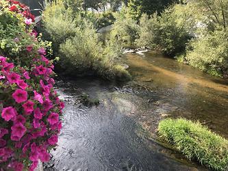 Mündung der Zwettl in den Kamp