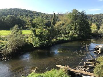 Radweg am Ufergebüsch