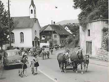 Kapelle Kehlen, Viehauftrieb