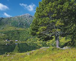 Nationalpark Nockberge