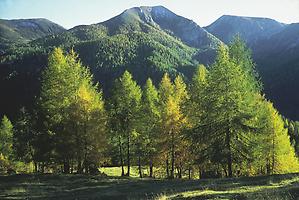 Nationalpark Nockberge