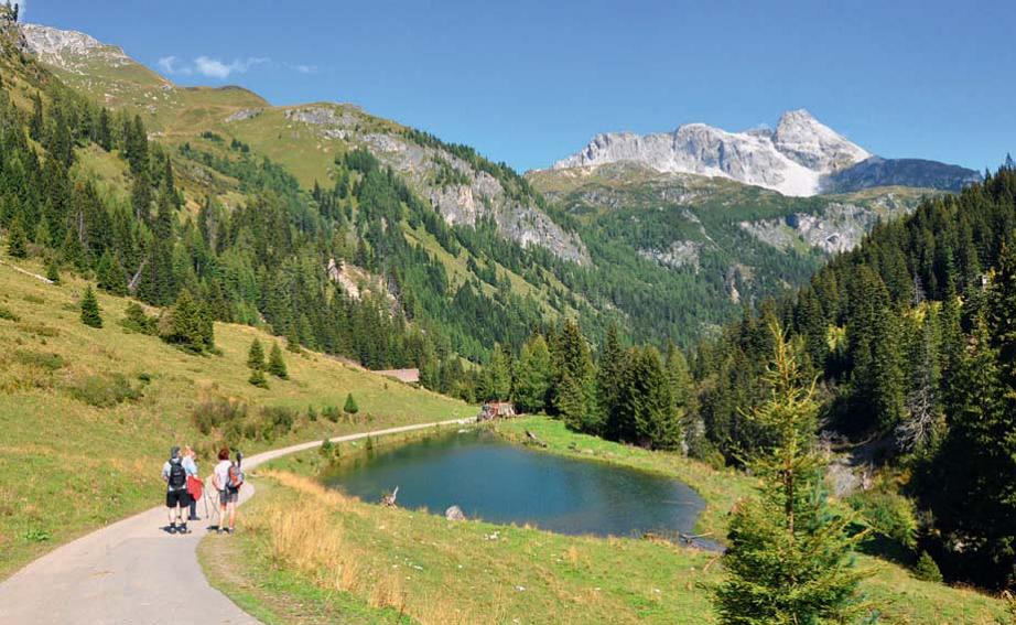 riedingtal-in-zederhaus-heimatlexikon-kunst-und-kultur-im-austria-forum