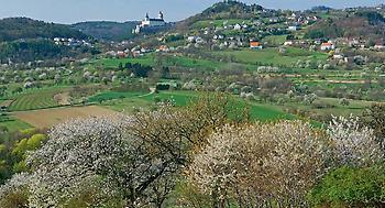 Burg Forchtenstein mit umliegenden Streuobstwiesen