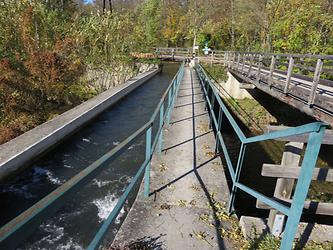 Wr. Neustädter Kanal