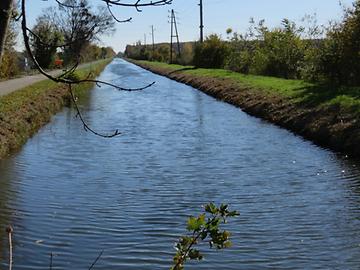 Wr. Neustädter Kanal