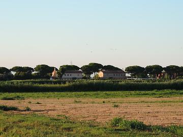 Lagune of Venice - Landscape, Photo: T. Högg