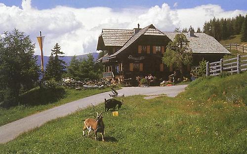 Lammersdorfer-Alm am Fuß der Millstätter-Alpe
