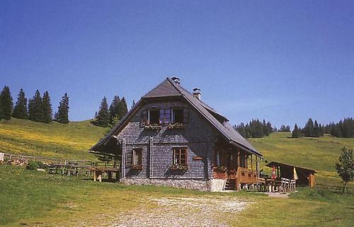 Schrott-Alm südlich von Pack und Stubalpe