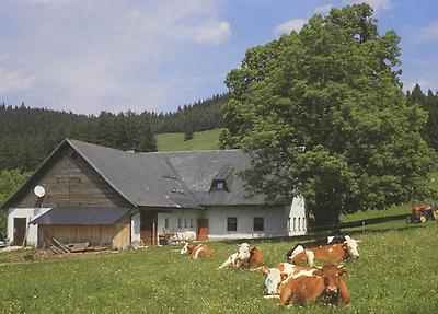 Hochbämeck-Alm bei Scheibbs mit dem Almgasthaus
