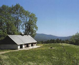 Schwagreit-Weide im Bergland der 'Obertriesting'