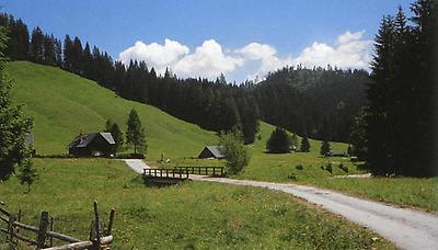 Hintersteiner-Alm am Pyhrnpaß