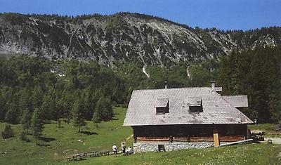 Schüttbauern-Alm mit dem „Blumenberg' Bodenwies