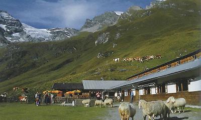 Fürthermoar-Alm am Kitzsteinhorn