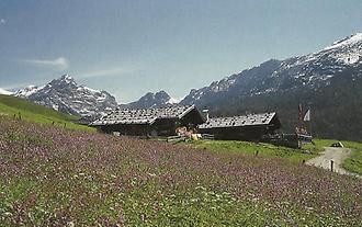 Kallbrunn-Alm - wohl eine der schönsten Almen Österreichs.