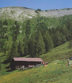 Karsegg-Alm, eine der ältesten Hütten im Großarltal.