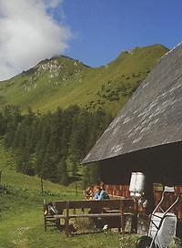 Pölsenalm-Hütte mit Hohenwart