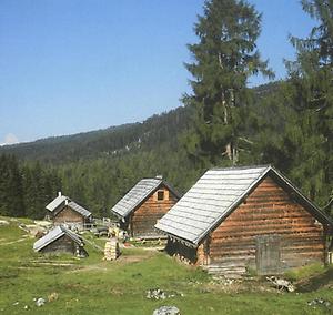 Viehberg-Alm im Kemetgebirge