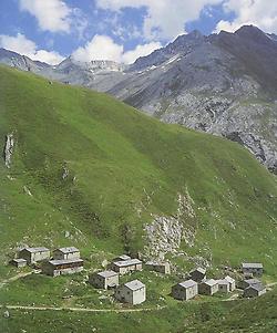 Das Almdorf der Jagdhaus-Alpe auf 2.033 m Seehöhe