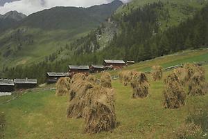 Oberstaller-Alm in Innervillgraten