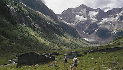 Die Boden-Alm im hintersten Zillergrund