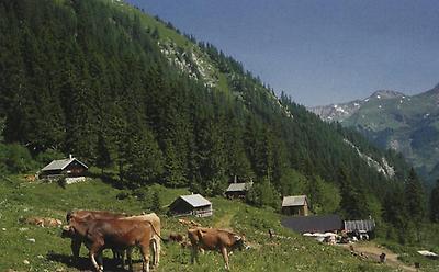 Die Stabl-Sennalm gewährt Ausblicke auf die Allgäuer und Lechtaler Alpen